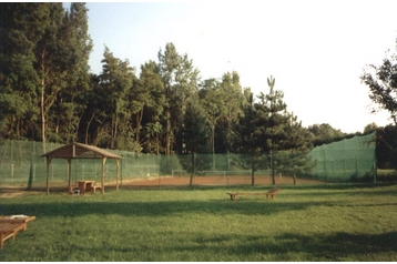 Ungheria Privát Dunasziget, Esterno